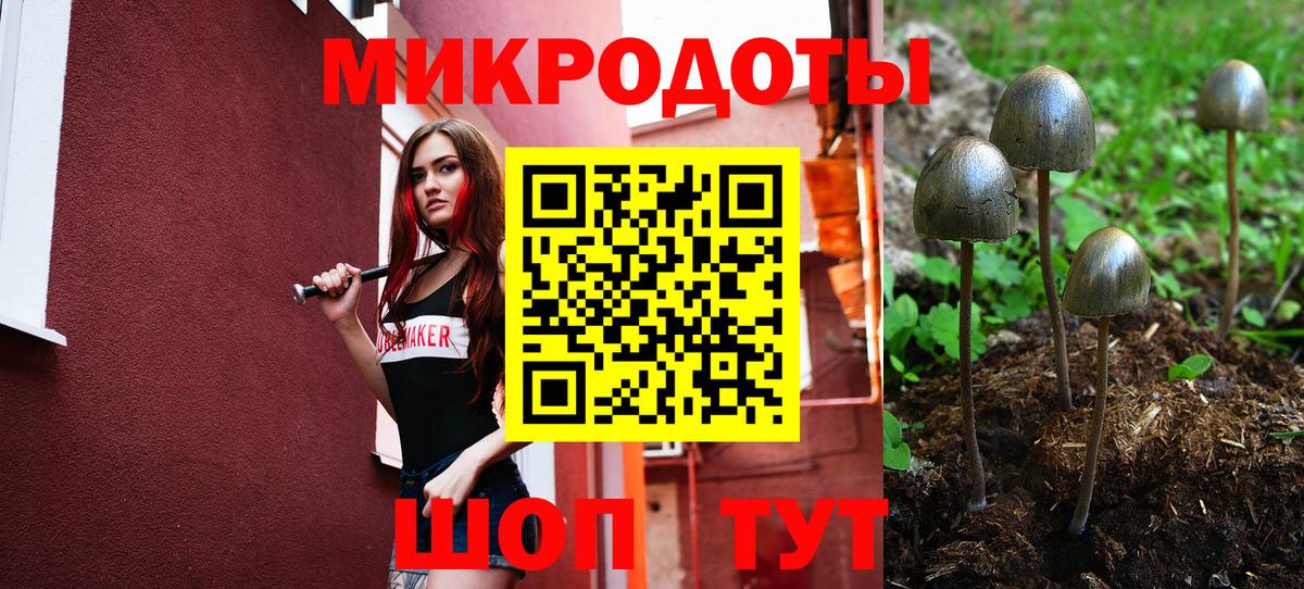 Нарткала  Галлюциногенные грибы MAGIC MUSHROOMS  Псилоцибиновые грибы Psilocybine cubensis  Вход с VPN 
